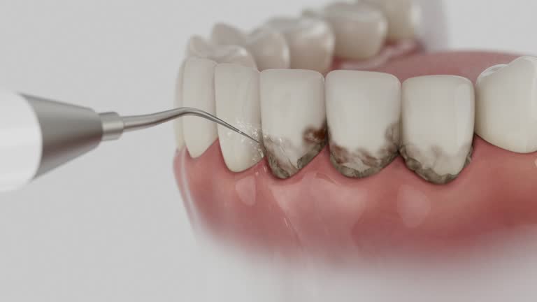 Reliable Dental contractor in Westphalia, MD by Dentist Open Now